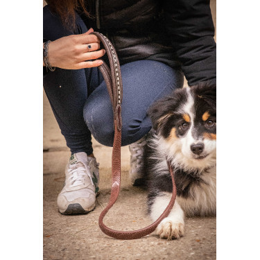 Correa para perros Pénélope Rubber Havana Marrón