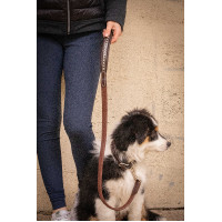 Correa para perros Pénélope Rubber Havana Marrón