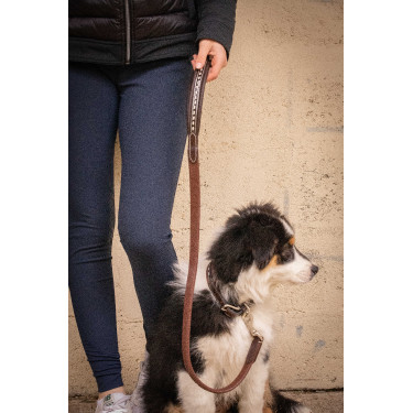 Correa para perros Pénélope Rubber Havana Marrón