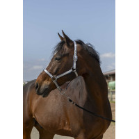 Cabezada Norton Nylon Suave Azul marino