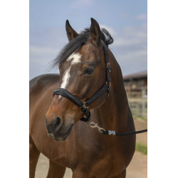 Cabezada de cuadra EQUITHÈME Nylon Strass Negro