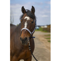 Cabezada de cuadra EQUITHÈME Nylon Check Marino / marrón Azul