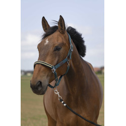 Cabezada de cuadra EQUITHÈME Nylon Chevron Verde oscuro