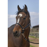 Cabezada Equithème Nylon light Negro