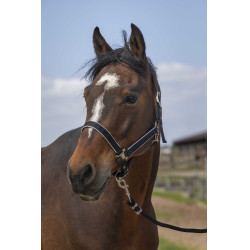 Cabezada Equithème Nylon light Negro