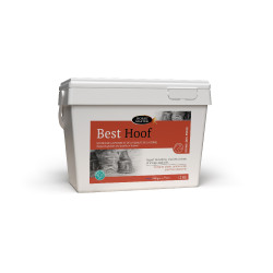 Best Hoof Biotina Horse Master