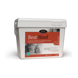 Best Hoof Biotina Horse Master