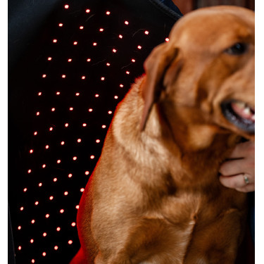 Abrigo para perro de terapia Horseware con luz roja LED Negro / negro Abrigo para perro de terapia Horseware con luz roja LED Negro / negro