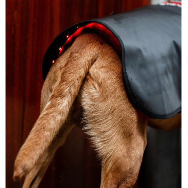 Abrigo para perro de terapia Horseware con luz roja LED Negro / negro Abrigo para perro de terapia Horseware con luz roja LED Negro / negro