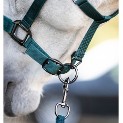 Cabezada y ramal Horseware Verde dinastía