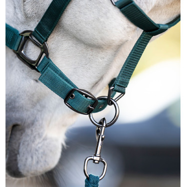 Cabezada y ramal Horseware Verde dinastía