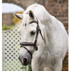Brida de pony Horseware Flash Castaño Marr&amp;amp;amp;oacute;n