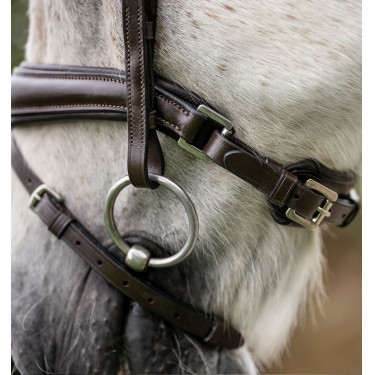 Brida de pony Horseware Flash Castaño Marr&amp;amp;amp;oacute;n