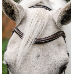 Brida de pony Horseware Flash Castaño Marr&amp;amp;amp;oacute;n