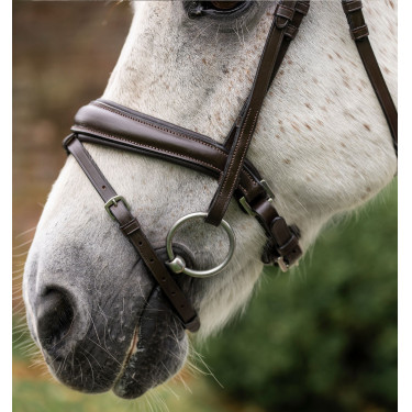 Brida de pony Horseware Flash Castaño Marr&amp;amp;amp;oacute;n