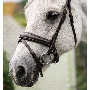 Brida de pony Horseware Flash Castaño Marr&amp;amp;amp;oacute;n