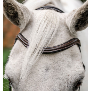 Brida de pony Horseware Flash Castaño Marr&amp;amp;amp;oacute;n