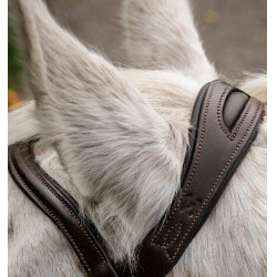 Brida de pony Horseware Flash Castaño Marr&amp;amp;amp;oacute;n