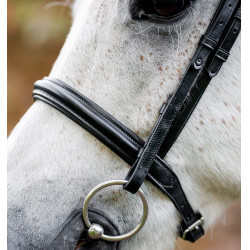 Brida pony Horseware Cavesón Negro