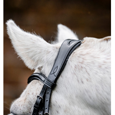 Brida pony Horseware Cavesón Negro