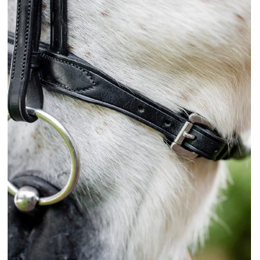 Brida pony Horseware Cavesón Negro