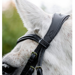 Brida pony Horseware Cavesón Negro