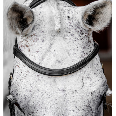 Brida Horseware Micklem Competition Negro