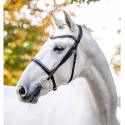 Cabezada Horseware con cadenilla Negro