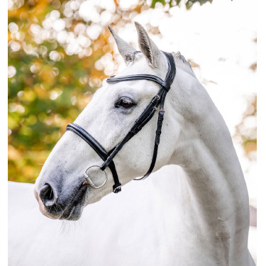 Cabezada Horseware con cadenilla Negro