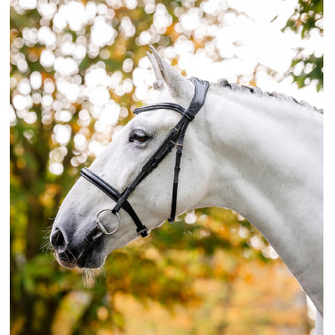 Cabezada Horseware con cadenilla Negro