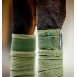 Vendas de polo Horseware Amigo Zarza Verde