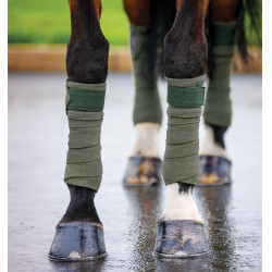 Vendas de polo Horseware Amigo Zarza Verde