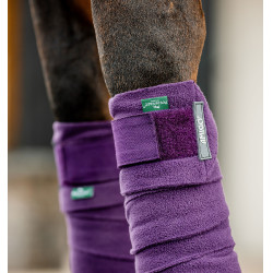 Vendas de polo Horseware Amigo Winterberry Violeta