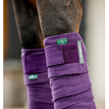 Vendas de polo Horseware Amigo Winterberry Violeta