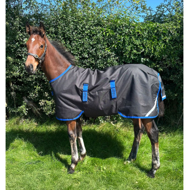 Manta Horseware Amigo Ripstop 900D Potro Turnout 50g Negro / azul clásico