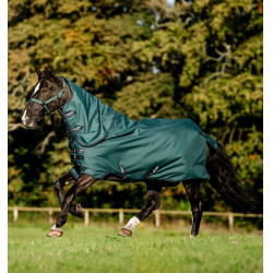Manta Horseware Amigo Ripstop 900D Plus Poney Turnout 50g Verde dinastía / marino / plata