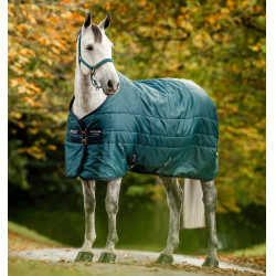 Manta de cuadra Horseware Amigo Ripstop Insulator 50g Verde dinastía / marino / plata