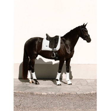 Mantilla de doma Equestrian Stockholm Blanco brillante