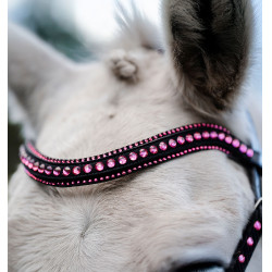 Brida para poni Horseware Diamante Flash Negro / rosa