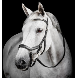 Brida Horseware Micklem Diamante Competición Negro