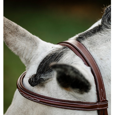 Brida Horseware Cavesson Hunter con riendas Castaño Marrón Brida Horseware Cavesson Hunter con riendas Castaño Marrón