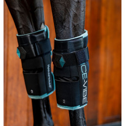 Rodilleras Horseware Ice-Vibe Negro / aqua