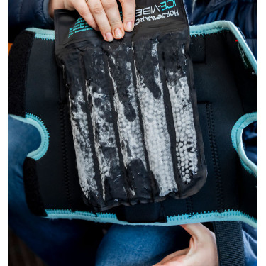 Rodilleras Horseware Ice-Vibe Negro / aqua