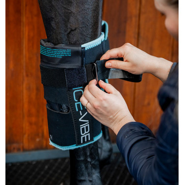 Rodilleras Horseware Ice-Vibe Negro / aqua