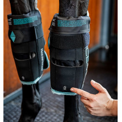Rodilleras Horseware Ice-Vibe Negro / aqua