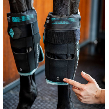 Rodilleras Horseware Ice-Vibe Negro / aqua