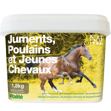 Yeguas, potros y caballos jóvenes NAF Yeguas, potros y caballos jóvenes NAF