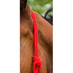 Cabezada de cuerda First Roja Rojo