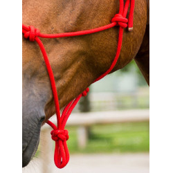 Cabezada de cuerda First Roja Rojo