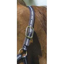 Cabezada de nylon forrada de cuero Marino / azul cielo Cabezada de nylon forrada de cuero Marino / azul cielo